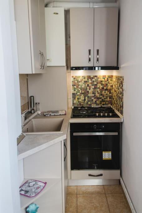 2 Bedroom Apt Park Belvedere Sibiu Exteriér fotografie